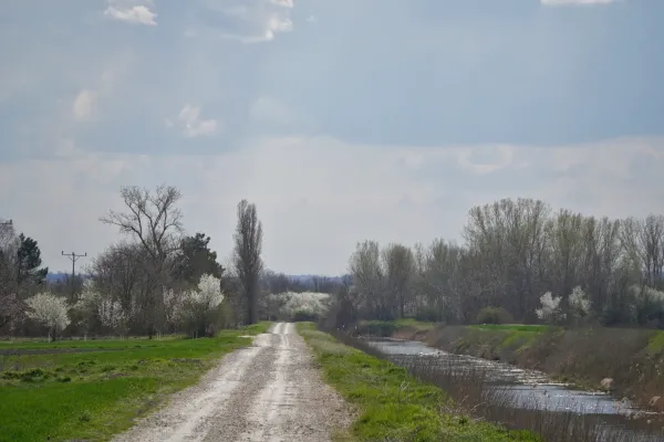 Eine kurvige Schotterstraße führt durch eine ländliche Landschaft in Serbien, mit blühenden Obstbäumen auf beiden Seiten und einem Kanal auf der rechten Seite.