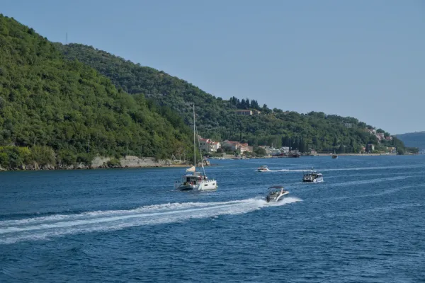 Brodovi u Kotorskom zalivu, Crna Gora, sa zelenim brdima u pozadini, fotografija plave vode za enterijer.