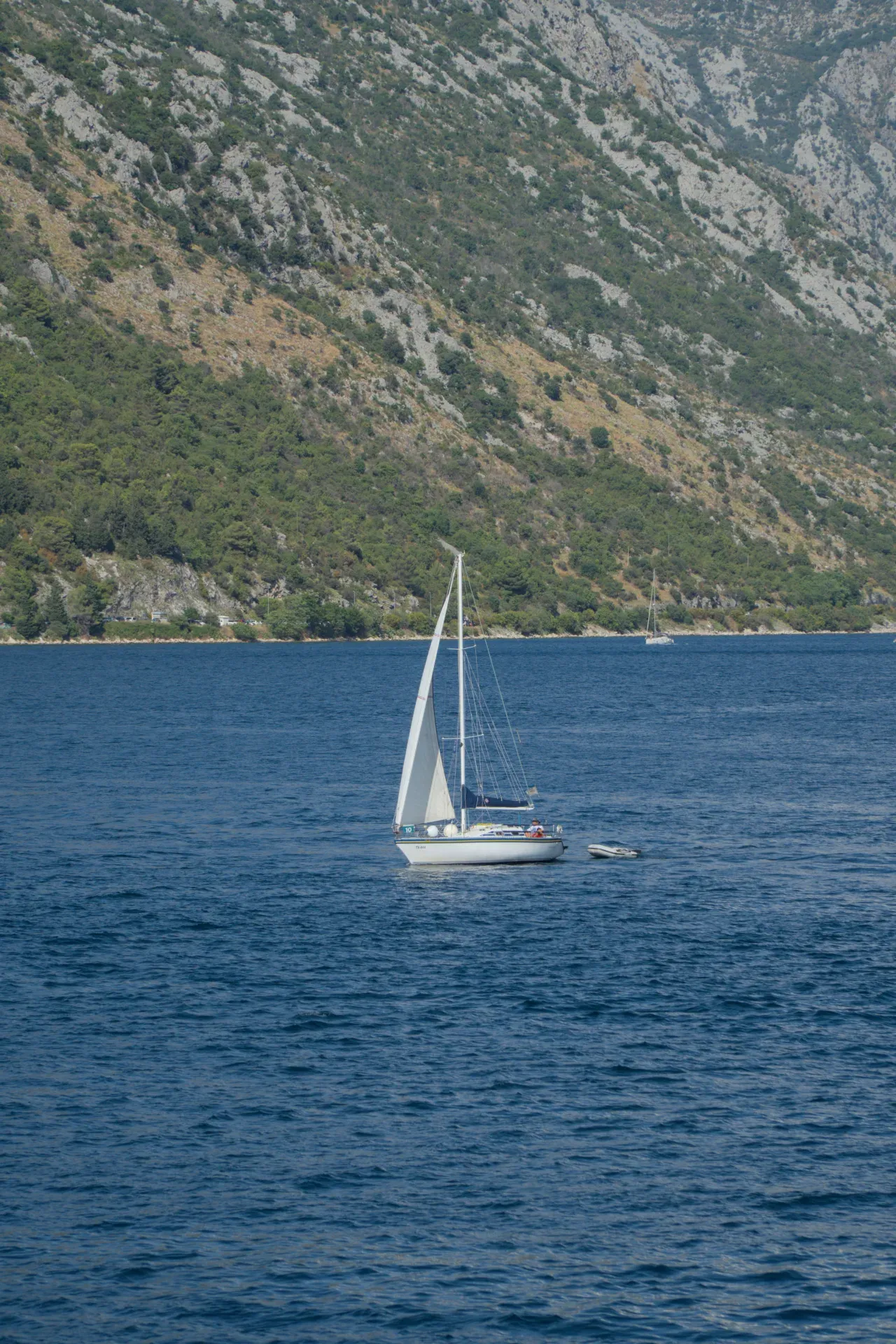 Eine kleine Segelyacht fährt auf dem Wasser in der Nähe von Kotor, Montenegro, vor steilen, grün bewachsenen Bergen.
