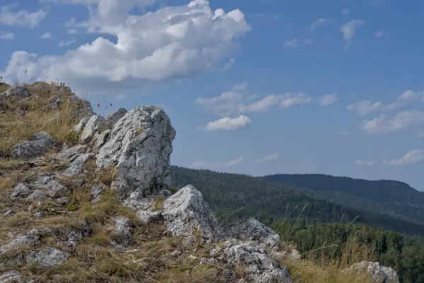 Mountain terrain at Janyač Peak with a rocky foreground and forested hills in the distance.