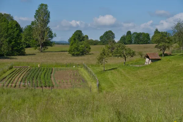 Rural countryside with a vegetable garden and stone building on the road to Predjama, Slovenia.