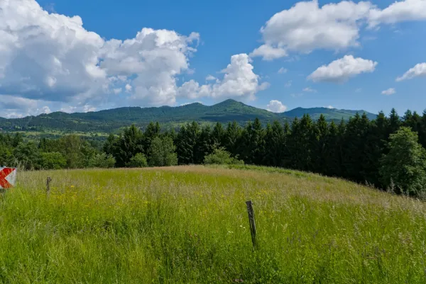 Dinaric Alps, landscape near Postojna: green meadows and mountain panorama under a blue sky.