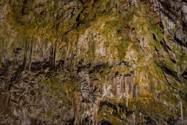 Die Textur einer Höhlendecke mit herabhängenden Stalaktiten und Mineralablagerungen in Grün- und Brauntönen.