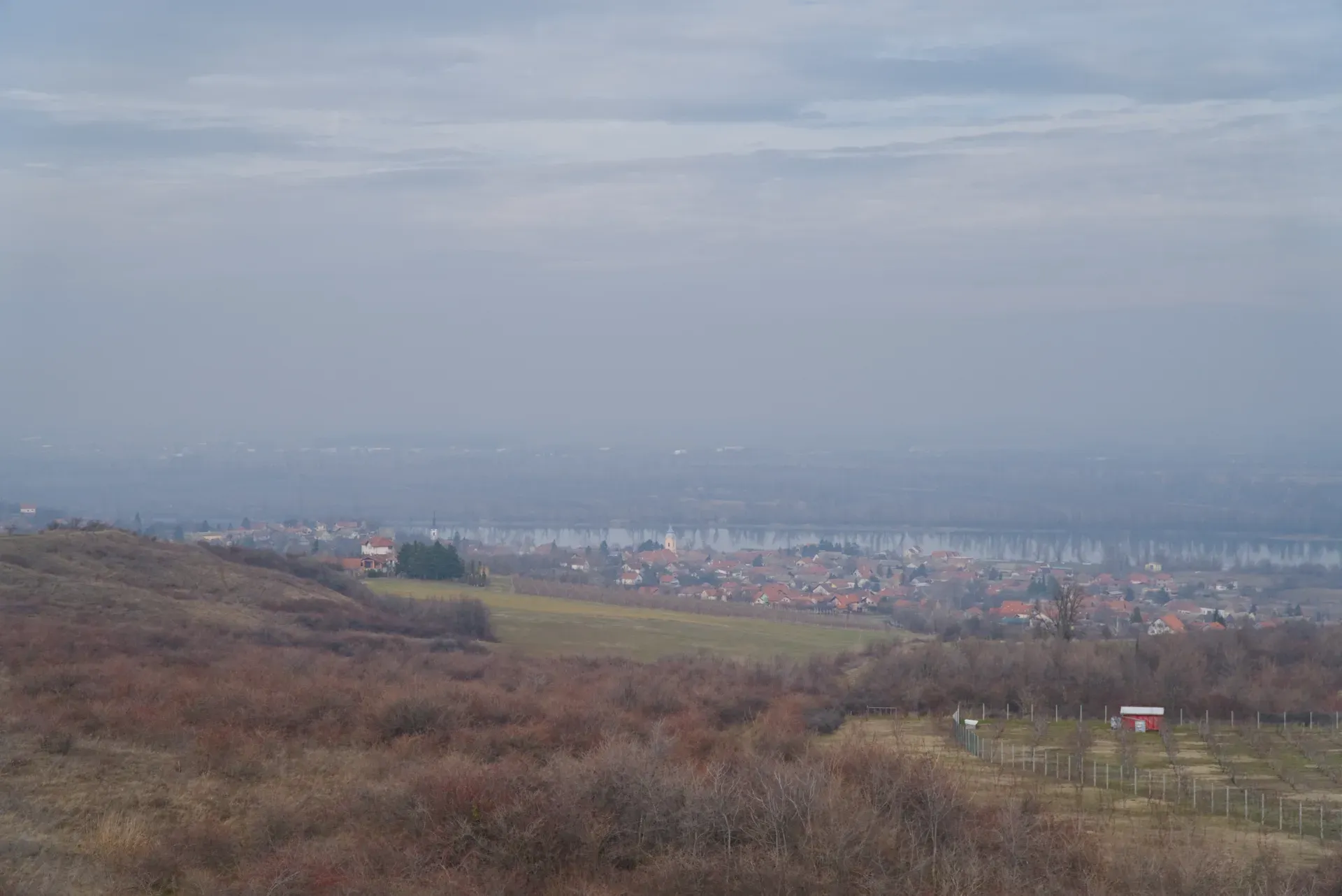 Matin de février brumeux sur le Danube près de Čerević, Novi Sad, Serbie, vue sur le village.