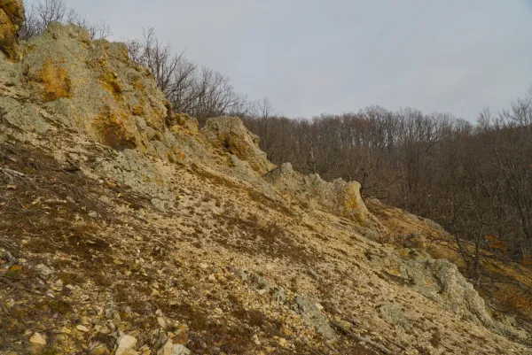 Felsformationen am Orlovec, Fruska Gora, mit trockenen Bäumen im Hintergrund.