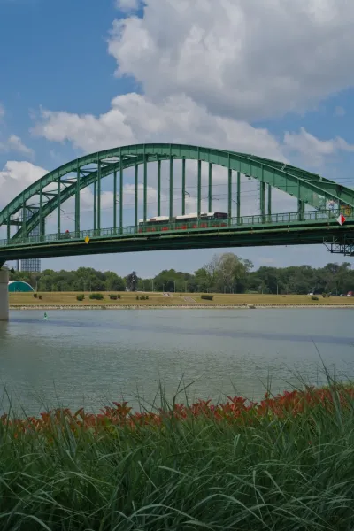 Le Vieux Pont de Sava vert à Belgrade, Serbie, traverse la rivière sous un ciel nuageux, ajoutant une touche architecturale aux intérieurs.
