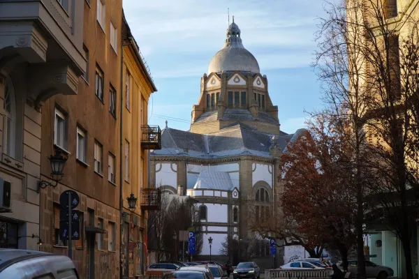 Синагога Нови-Сада, снятая с улицы Петра Драпшина, в золотистых лучах солнца.