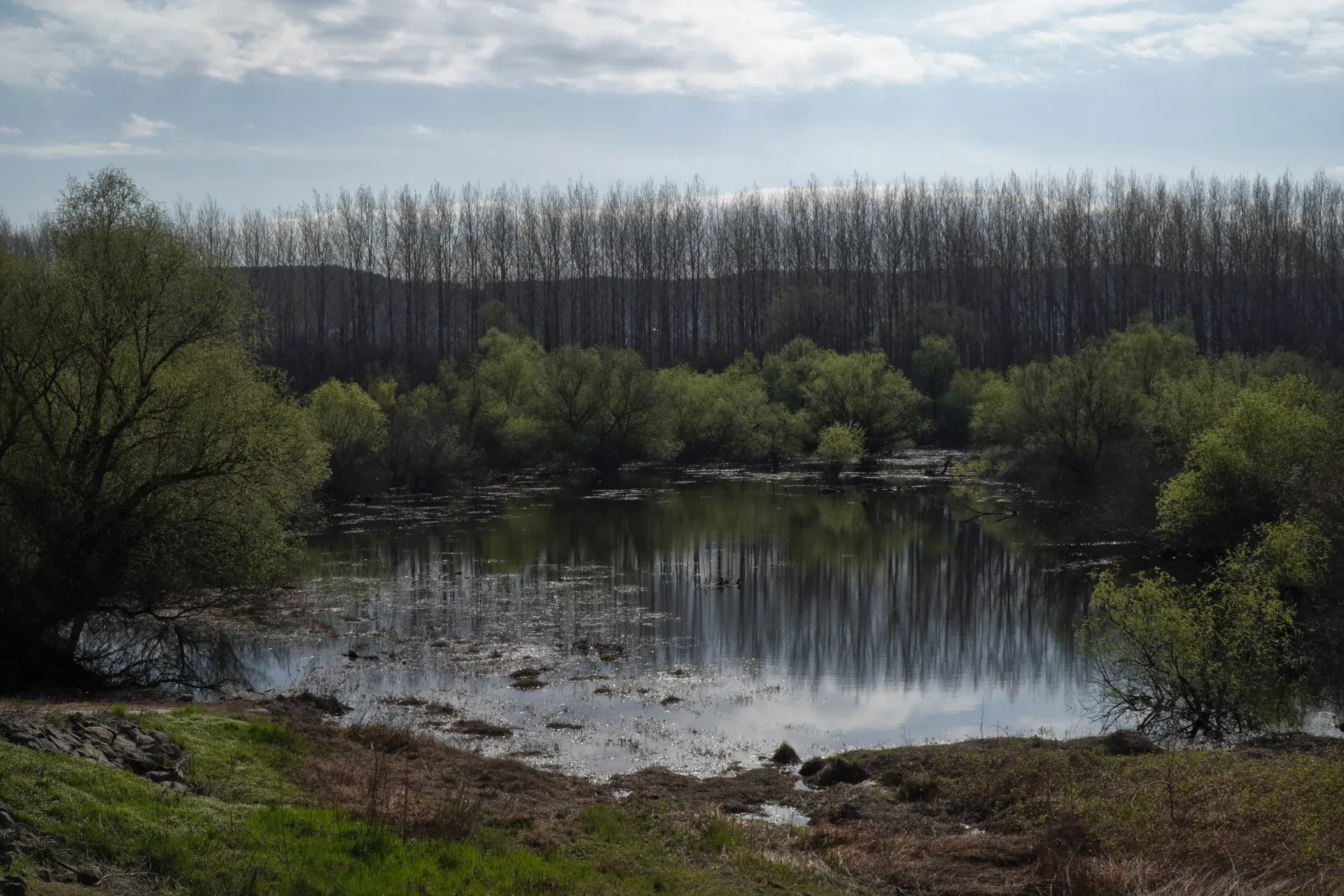 Un lago tranquilo con una superficie espejada que refleja los árboles y el cielo circundantes. Una hilera de árboles desnudos forma el horizonte, bajo un cielo nublado. Esta escena fue capturada en el camino de Belgrado a Pančevo, Serbia.