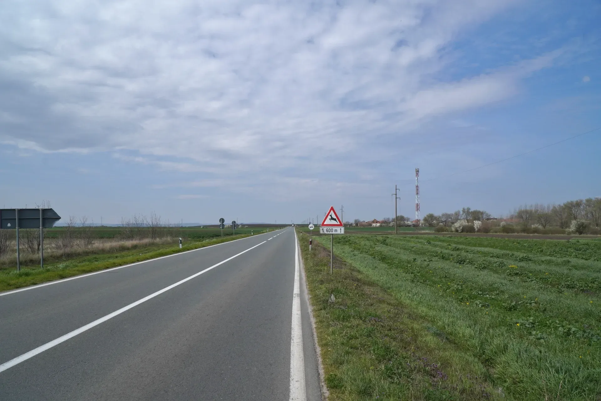 Una carretera asfaltada con marcas blancas se adentra en la distancia, bordeada por campos verdes y árboles. Una señal de advertencia de paso de fauna salvaje es visible en el lado derecho de la carretera, indicando 600 metros. Una torre de comunicaciones y algunos edificios se encuentran en el fondo. El cielo está nublado.
