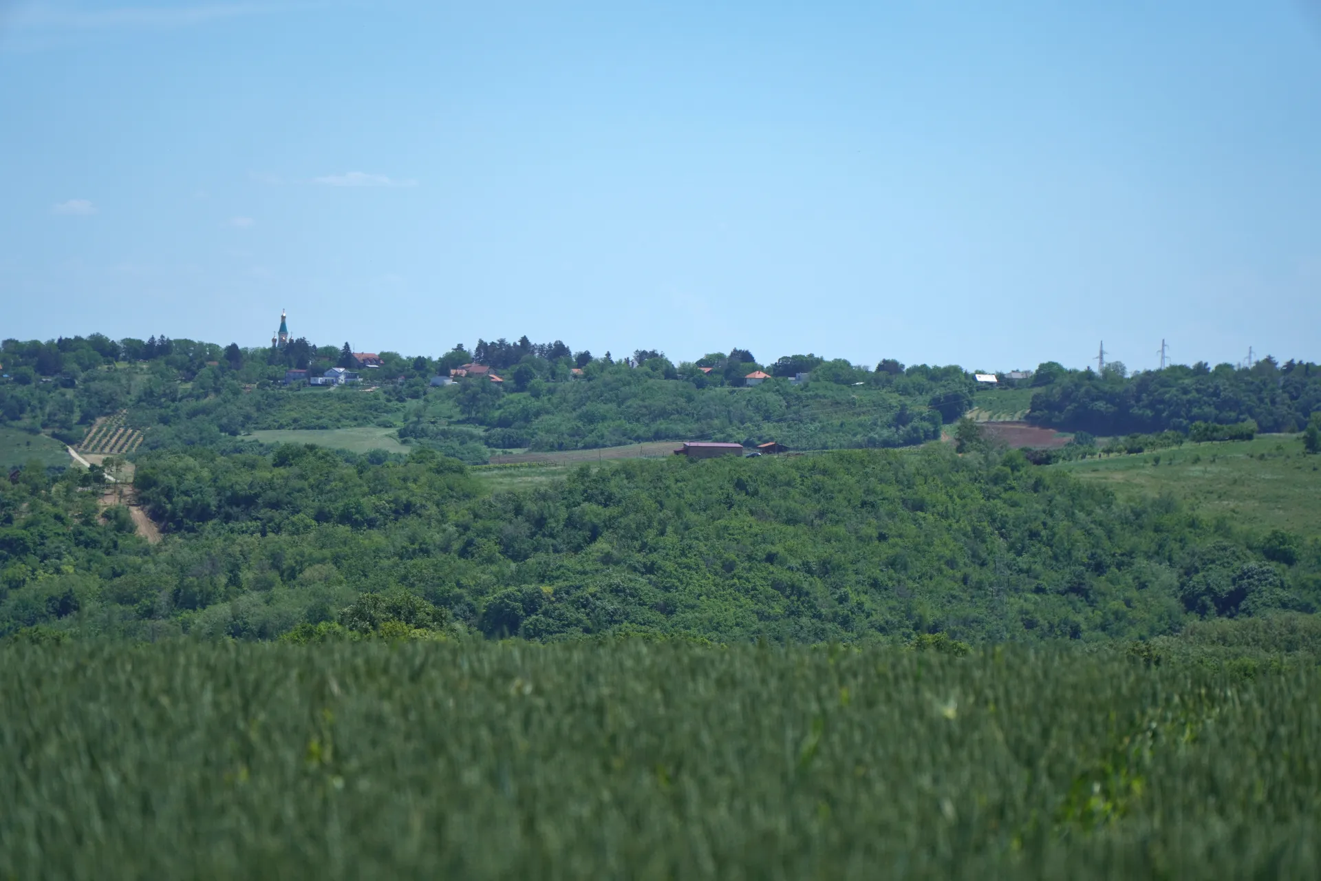 Pogled sa Fruške Gore na brda sa crkvom kod Novog Sada, Srbija, sa poljem žitarica u prvom planu. pogled sa Fruške na brda sa crkvom.