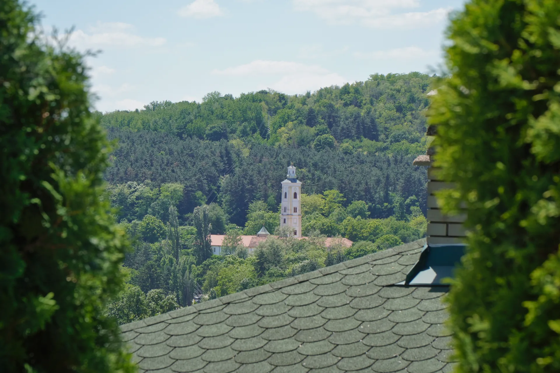 View from Fruška Gora showing the tower of Velika Remeta Monastery surrounded by dense green trees, with a rooftop in the foreground.