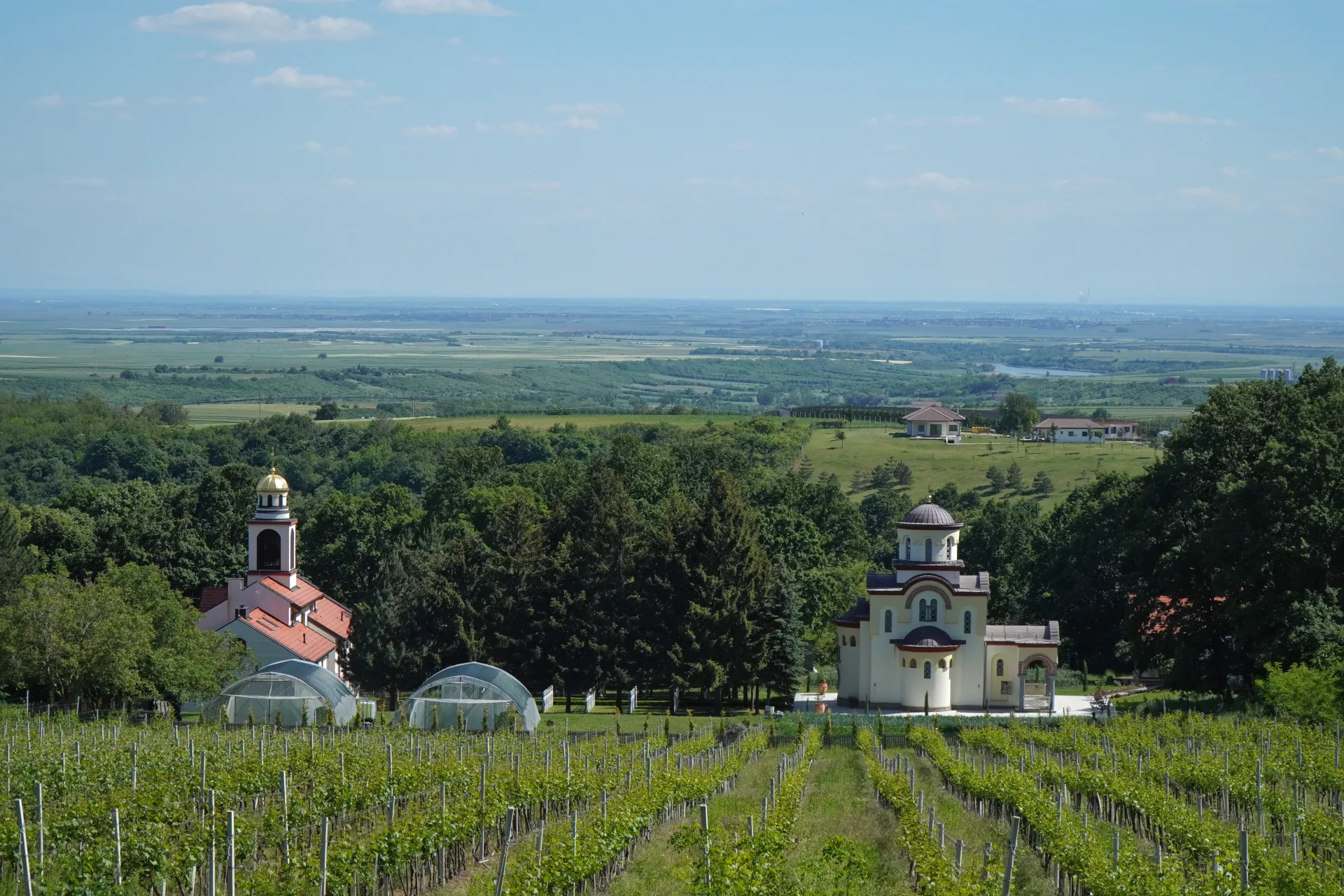 A scenic view of vineyards in Novi Sad, Serbia, with two churches, greenhouses, and a vast plain in the background under a clear sky.