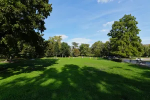 A wide, sunny park in Novi Sad, Serbia, with people enjoying the outdoors on a green lawn shaded by tall trees under a blue sky.