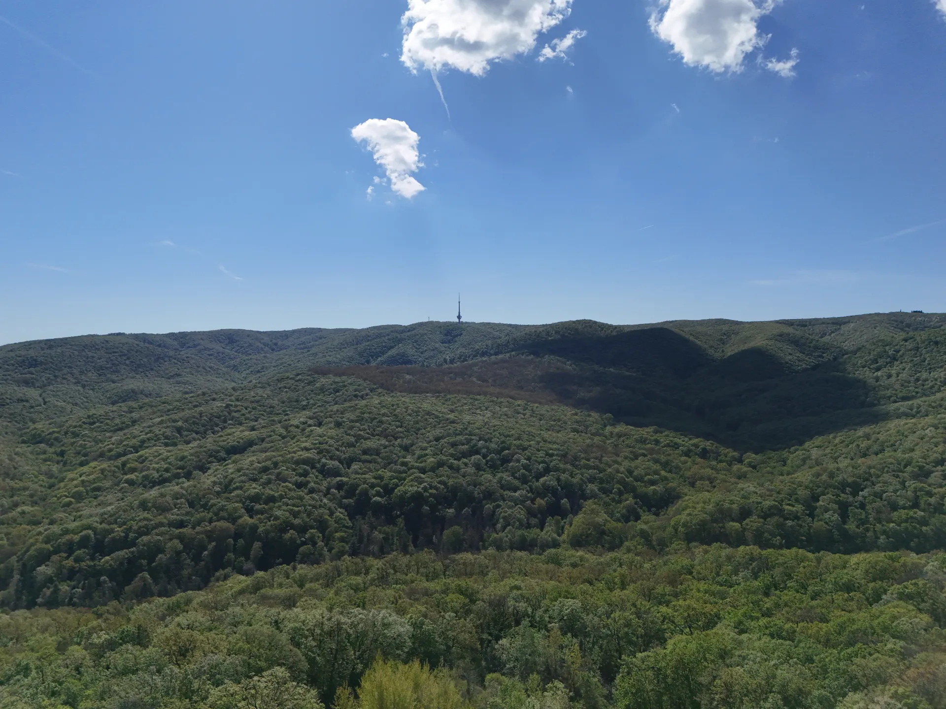 Wide shot of Fruska Gora, a densely forested mountain range with rolling hills under a blue sky with clouds, a TV tower visible on a distant hilltop, representing the natural landscape near Novi Sad, Serbia.