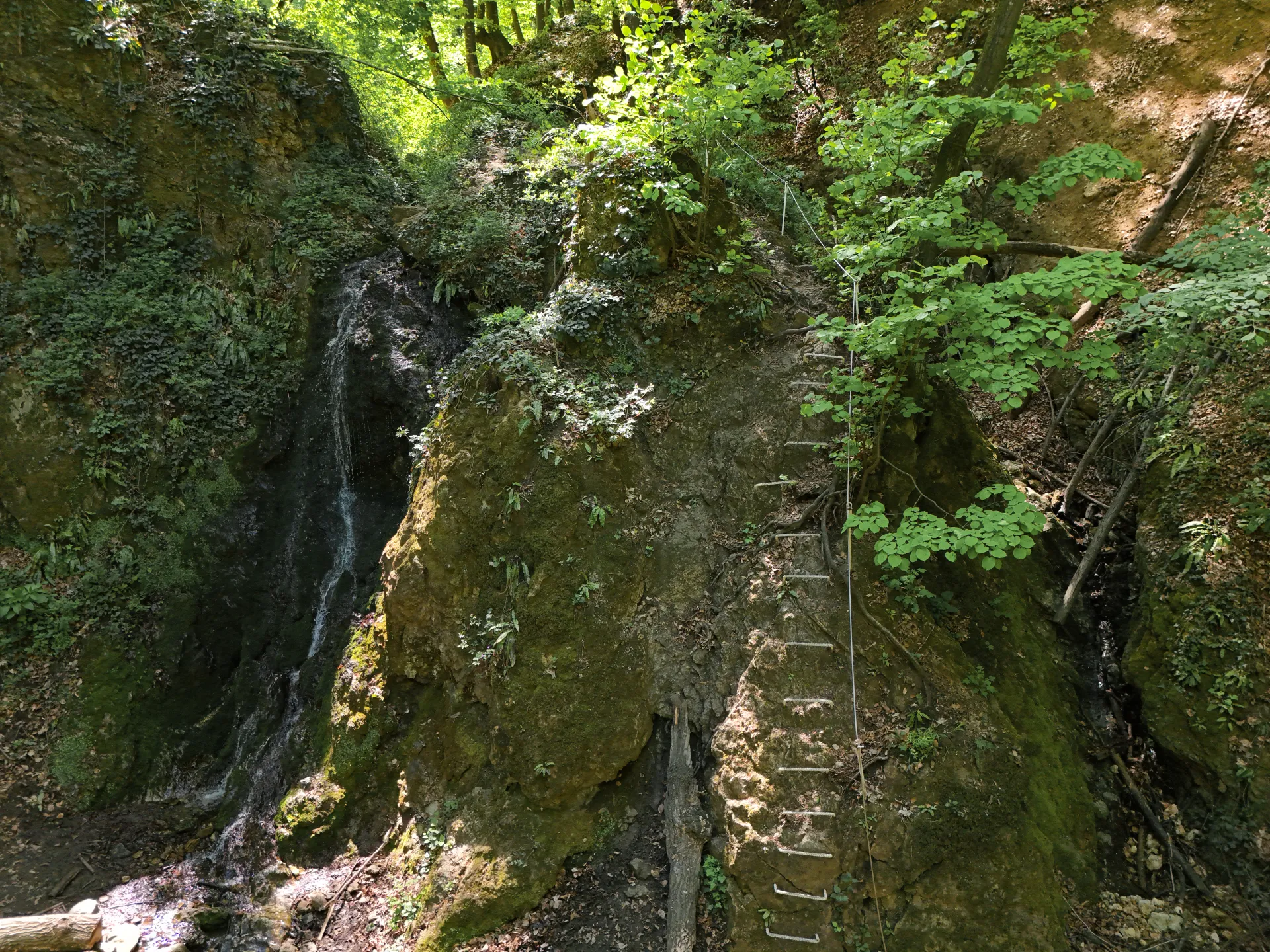 The Dumbovački waterfall flows down a rocky, mossy slope, with a metal ladder ascending alongside the cliff, surrounded by lush green foliage in Fruška Gora National Park, Novi Sad, Serbia.
