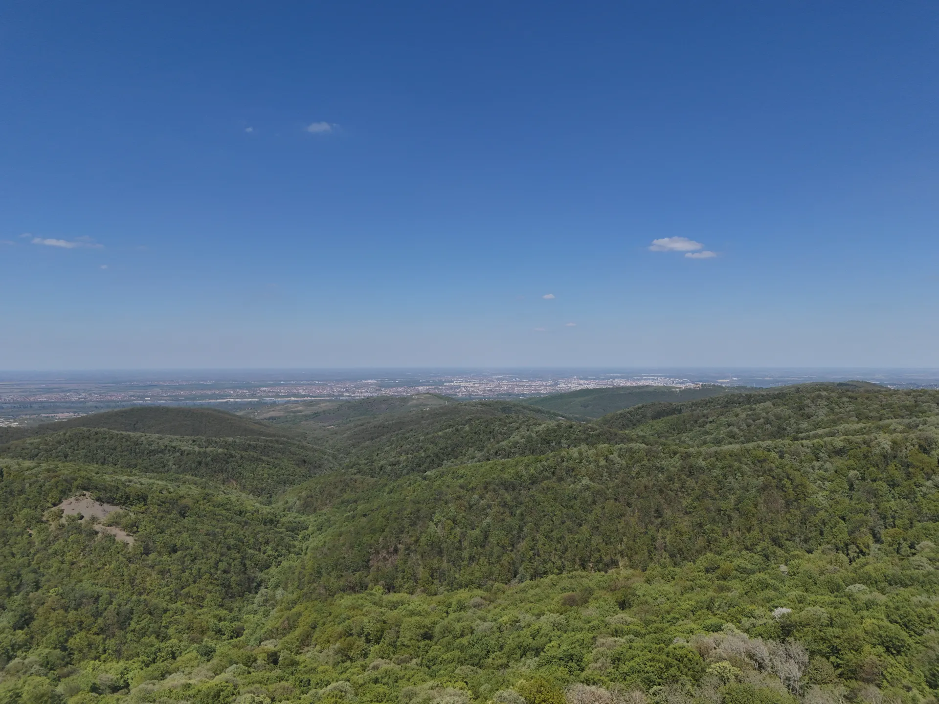 Панорамная панорама Нови-Сада, Сербия, с возвышенной точки Фрушка-Гора, с видом на обширную зеленую лесистую местность и городской ландшафт вдалеке.