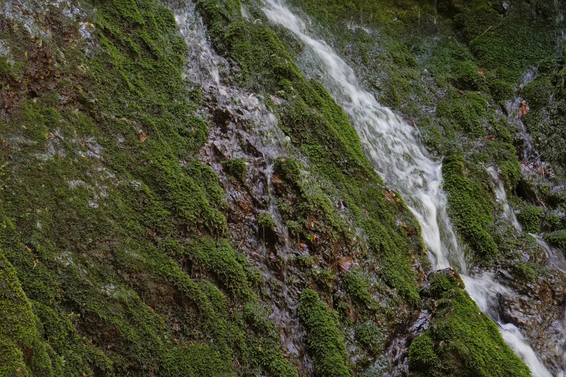 Moss-covered rocks with water cascading down at Dumbovacki Waterfall on Fruška Gora, near Novi Sad, Serbia.