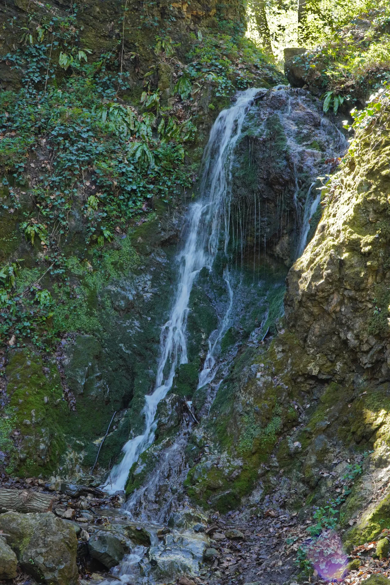 The Dumbovački Waterfall cascading down a rocky slope covered in moss and green ivy, with sunlight filtering through the trees in Fruška Gora, near Novi Sad, Serbia.