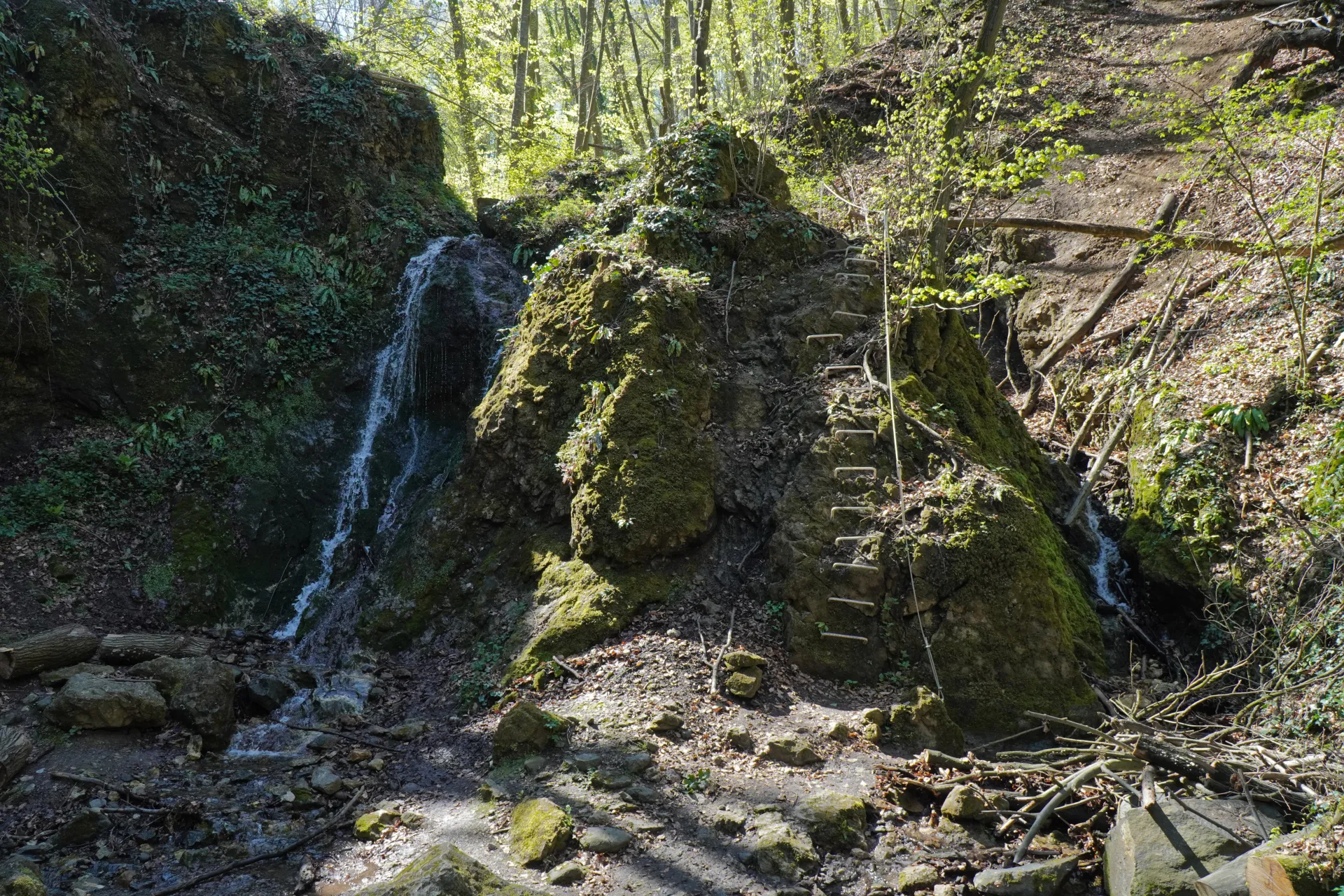 A scenic view of Dumbovački Waterfall with a moss-covered rock face and a wooden ladder leading upwards, surrounded by lush green foliage and trees in Novi Sad, Serbia.