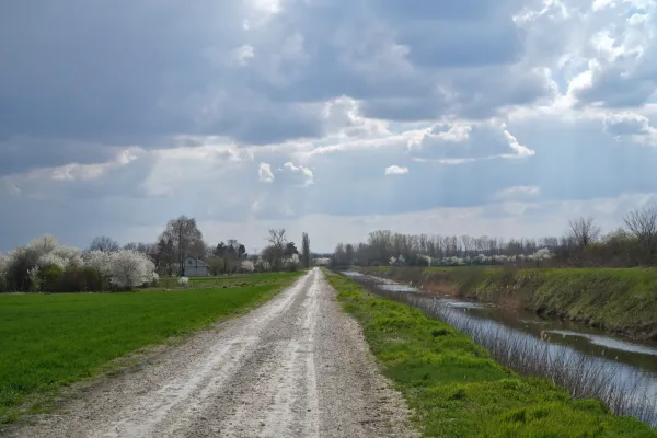 Un camino de grava atraviesa el paisaje en el camino de Pančevo a Smederevo, a lo largo de la ruta EV-6. A la izquierda hay un campo y árboles en flor, a la derecha, un canal y hierba verde bajo un cielo dramático.