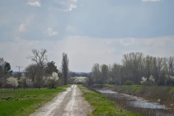 Vijugavi šljunkoviti put vodi kroz ruralni pejzaž u Srbiji, sa cvetnim voćkama sa obe strane i kanalom sa desne strane.