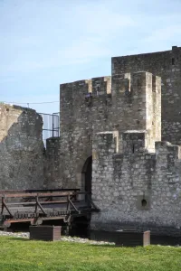 A wooden drawbridge leads to a stone gate of the Smederevo Fortress in Serbia, flanked by a moat and lawns.