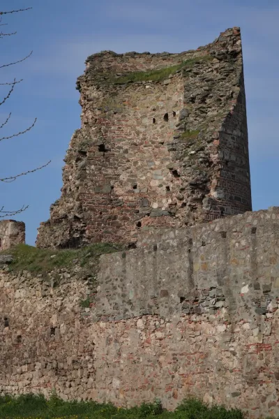 Torre di pietra fatiscente e mura della Fortezza di Smederevo, coperte d'erba, sotto un cielo blu.