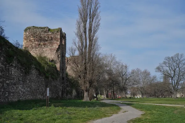 Historische Steinmauern und Ruinen der Festung Smederevo in Serbien, mit einem hohen, kahlen Baum und einem Kiesweg auf einer grünen Wiese.