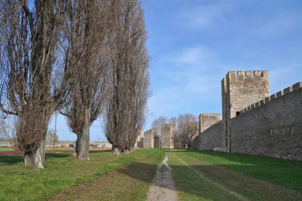 A path leads through green grass to the stone walls of Smederevo Fortress in Serbia, with a line of tall, bare trees on the left under a clear blue sky.