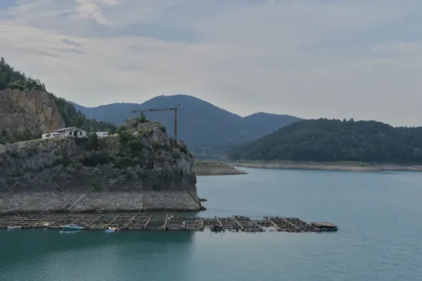 Una vista amplia del lago Zaovine en Serbia, con una serie de granjas piscícolas en el agua y una grúa y edificios en un acantilado rocoso al fondo, rodeado de colinas boscosas y suaves.