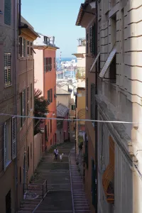 A person walks a dog down a steep, narrow cobblestone staircase street in Genoa, Italy, with tall, colorful buildings on either side. The Genoa harbor, filled with ships and cranes, is visible in the background.