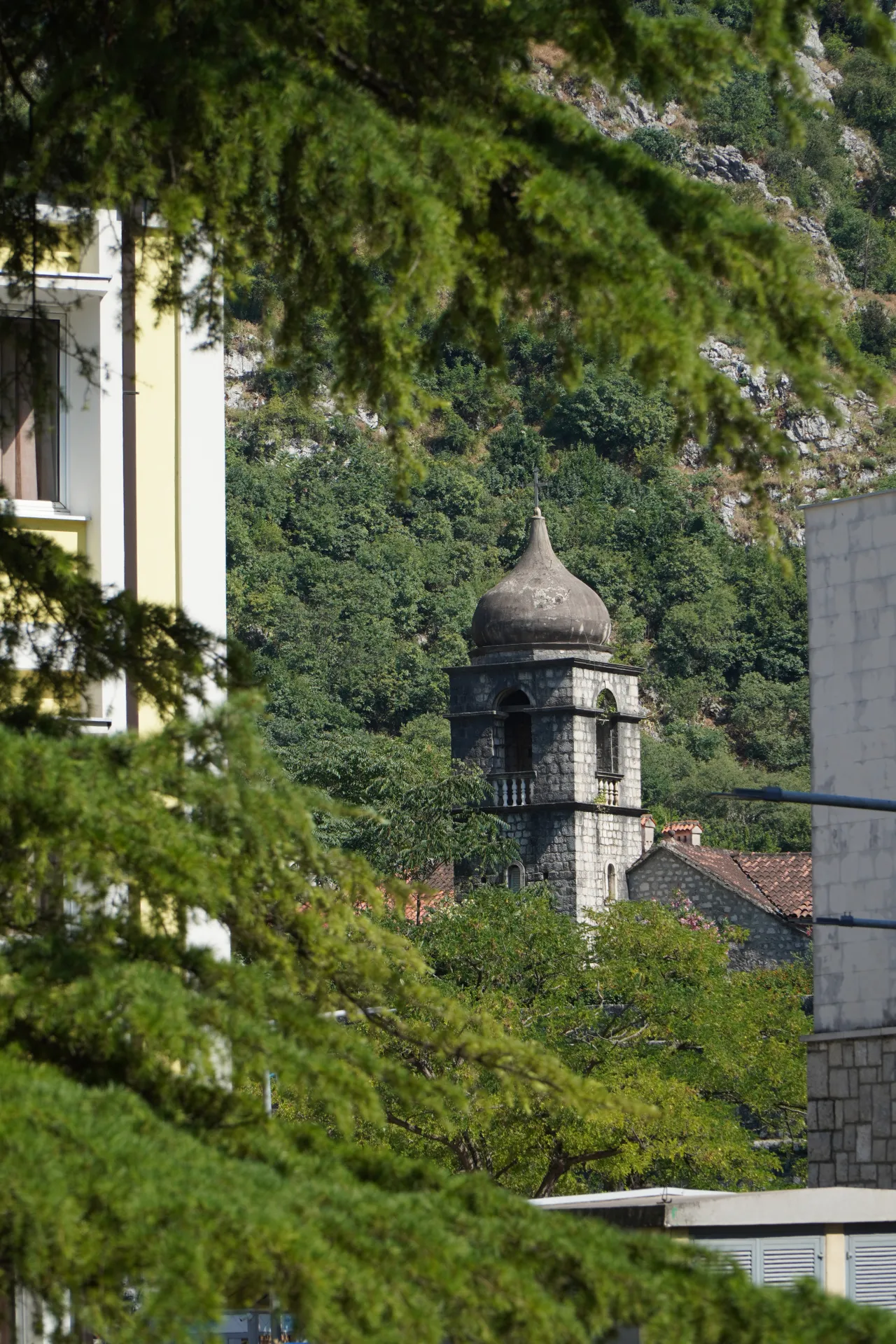 An old stone bell tower with a unique domed roof stands amidst dense green trees and foliage in Kotor, Montenegro. Modern buildings are visible on the sides, framing the historic tower.