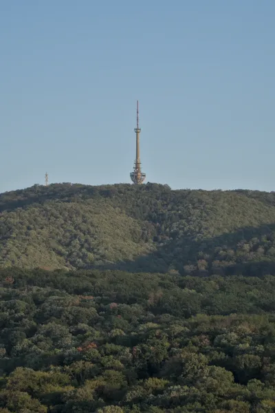 Ein Fernsehturm auf dem Fruska Gora-Hügel ragt im warmen Licht des Sonnenuntergangs über einem dichten Wald empor.