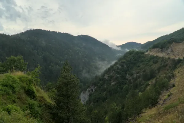 Mañana neblinosa en el Parque Nacional de Tara, Serbia, sobre una garganta con bosques de pinos.