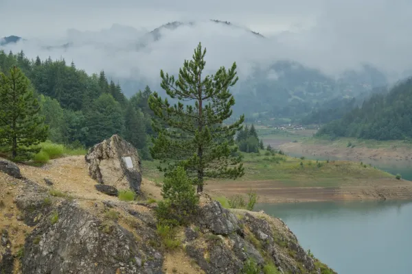 Una roca con un pino joven en una ladera rocosa, con vistas al lago Zaovine y montañas cubiertas de niebla en el Parque Nacional de Tara.