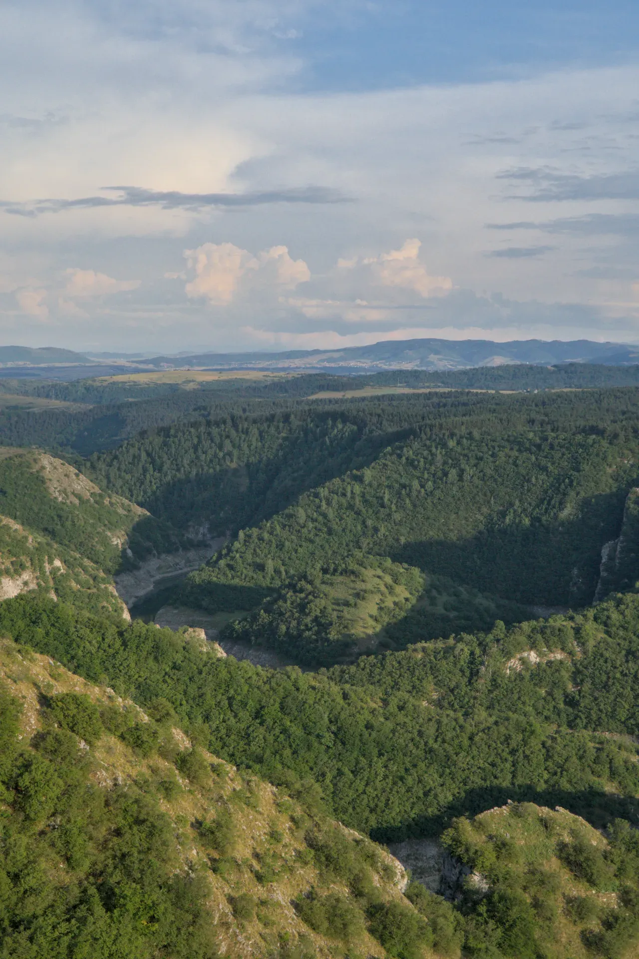 A winding canyon in Serbia, illuminated by the soft light of sunset, with green hills and a river.