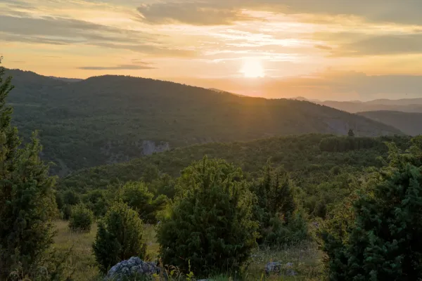 Landschaftspanorama von Uvac, Serbien, mit sanften Hügeln und üppiger Vegetation, beleuchtet vom warmen Licht des Sonnenuntergangs.