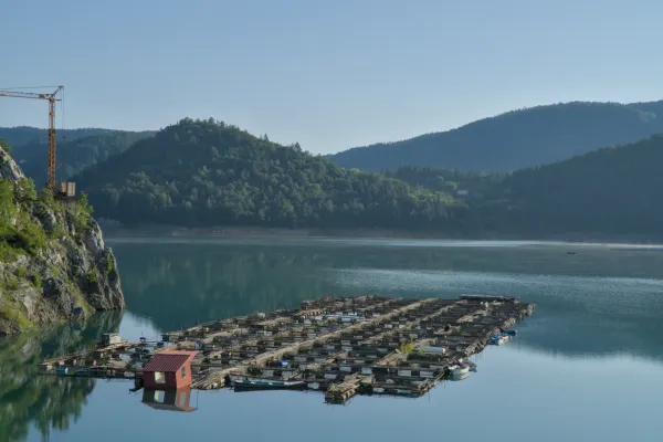 Un paisaje matutino sereno en el lago Zaovine, con una atmósfera de paz y una grúa en el acantilado.