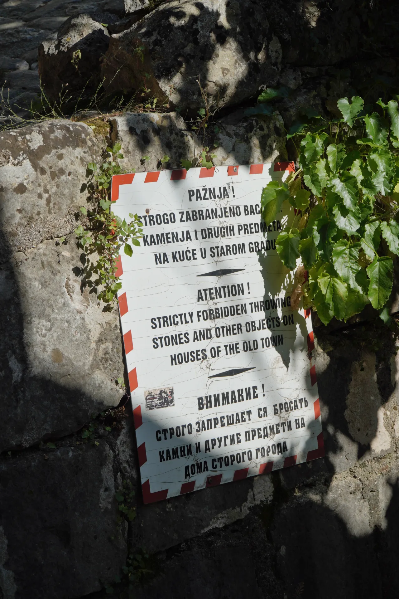 A multi-lingual warning sign posted on a stone wall in Kotor, Montenegro, with green foliage growing around it. The sign reads 'ATTENTION! STRICTLY FORBIDDEN THROWING STONES AND OTHER OBJECTS ON HOUSES OF THE OLD TOWN'.