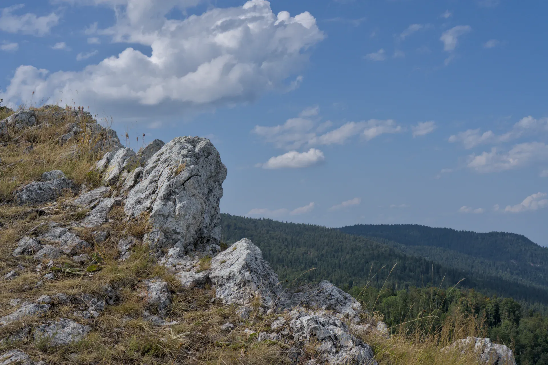 Mountain terrain at Yanach Peak with rocky foreground and forested hills in the distance.