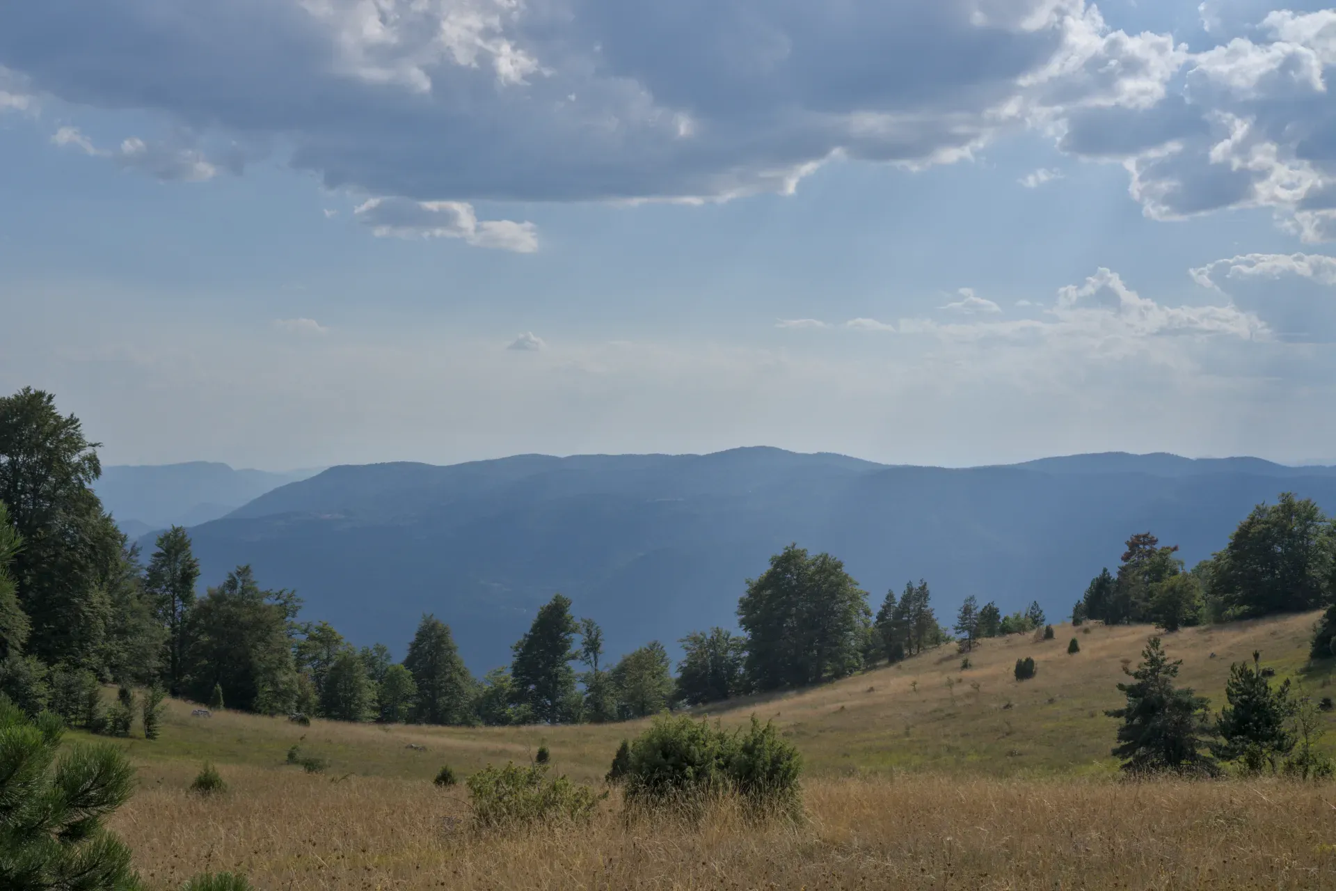 Pre-dusk landscape near Yanach summit, Serbia, with golden grass, rolling hills, and distant blue mountains.