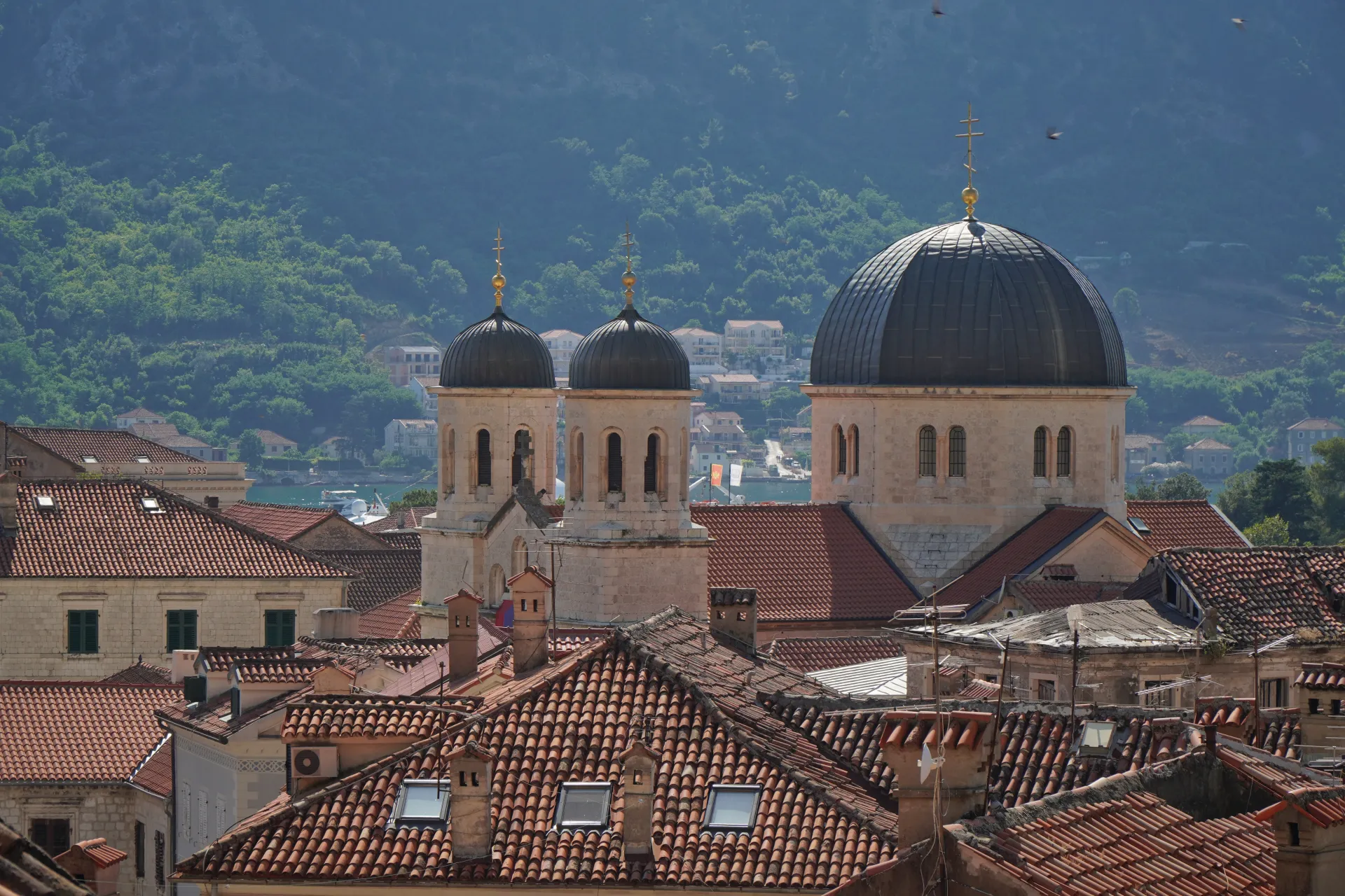 View over the terracotta rooftops of Kotor's Old Town, with the domed churches of St. Nicholas and St. Luke visible, set against a backdrop of verdant green mountains.