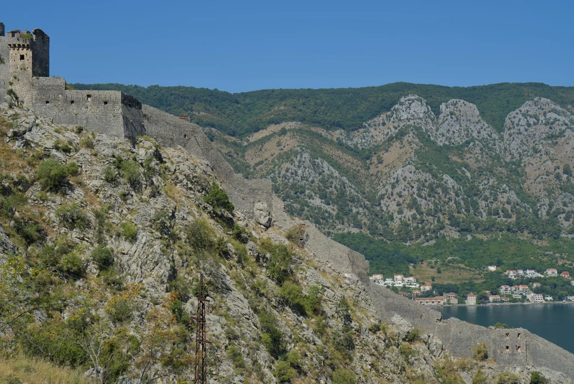 Vue depuis la montagne des murs historiques de la forteresse de Kotor, Monténégro, avec des collines vertes en arrière-plan.