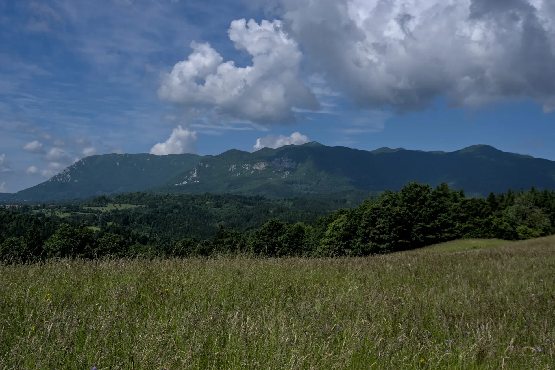 Expansive view of blue mountains and green meadows near Postojna, Slovenia under a cloudy sky.