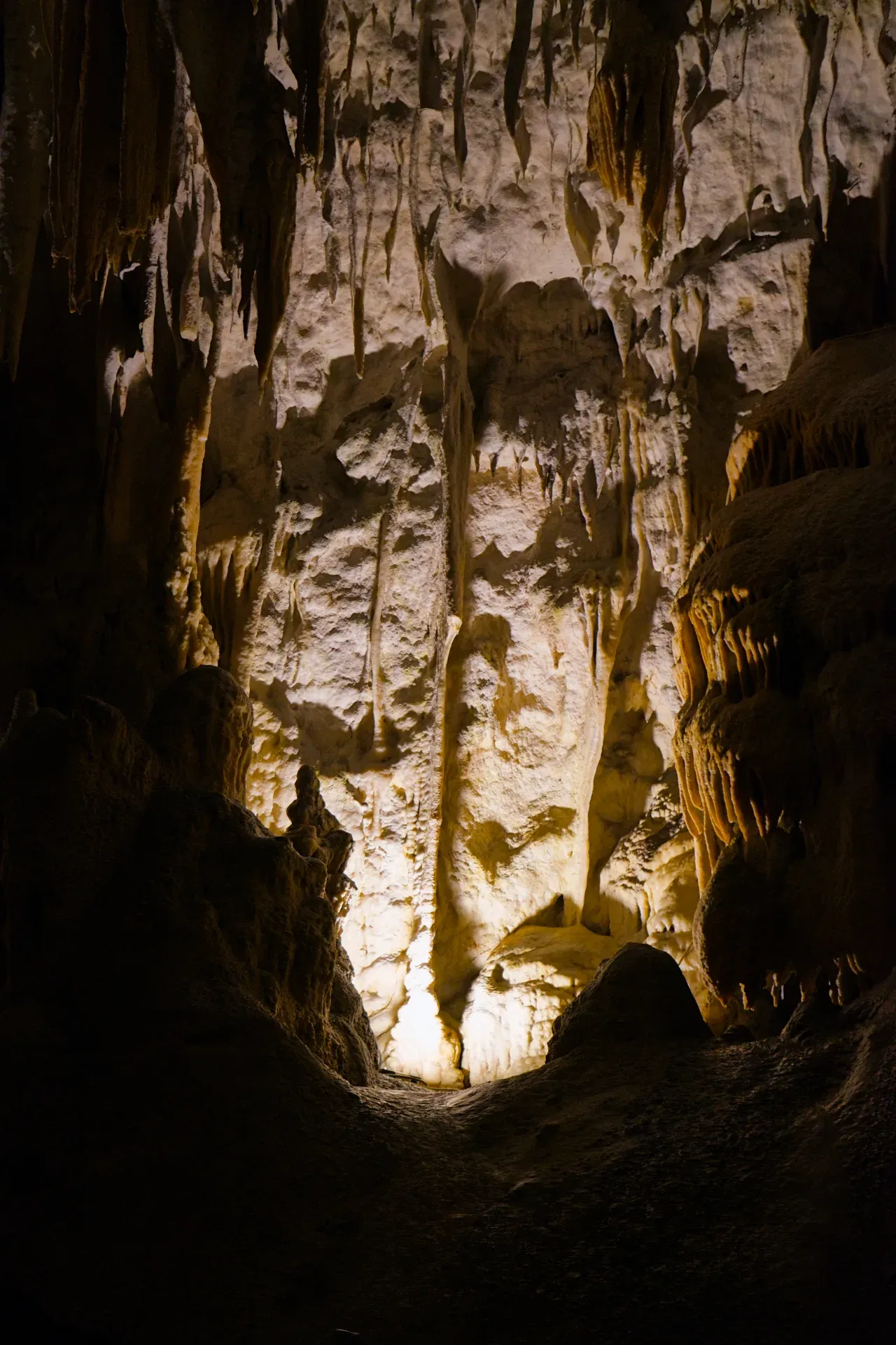 Una toma vertical oscura de una cámara de cueva en Postojna, iluminada desde abajo con luz cálida que resalta estalactitas y estalagmitas.