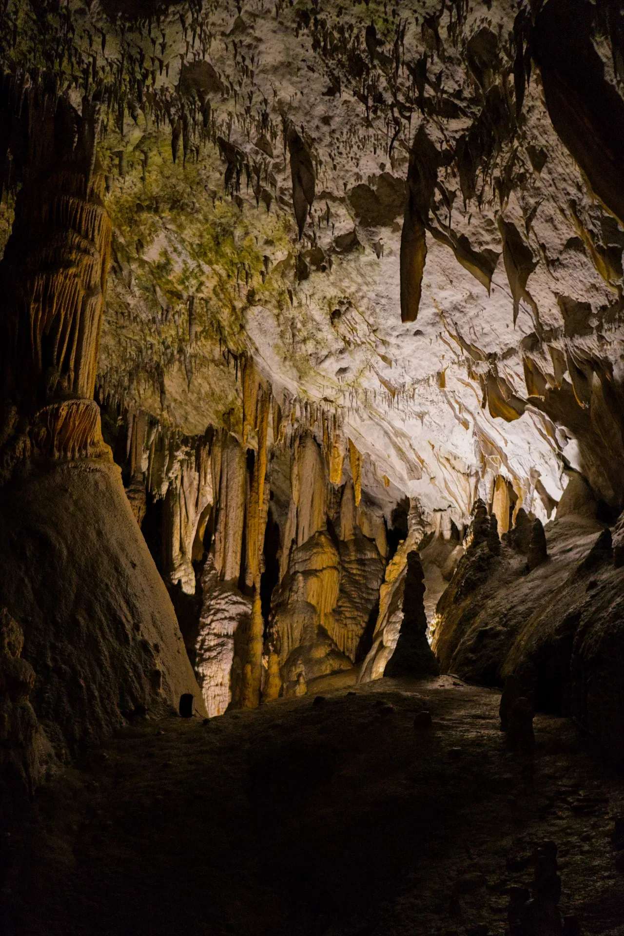 Estalactitas y estalagmitas intrincadas dentro de la Cueva de Postojna, un reino subterráneo mágico.