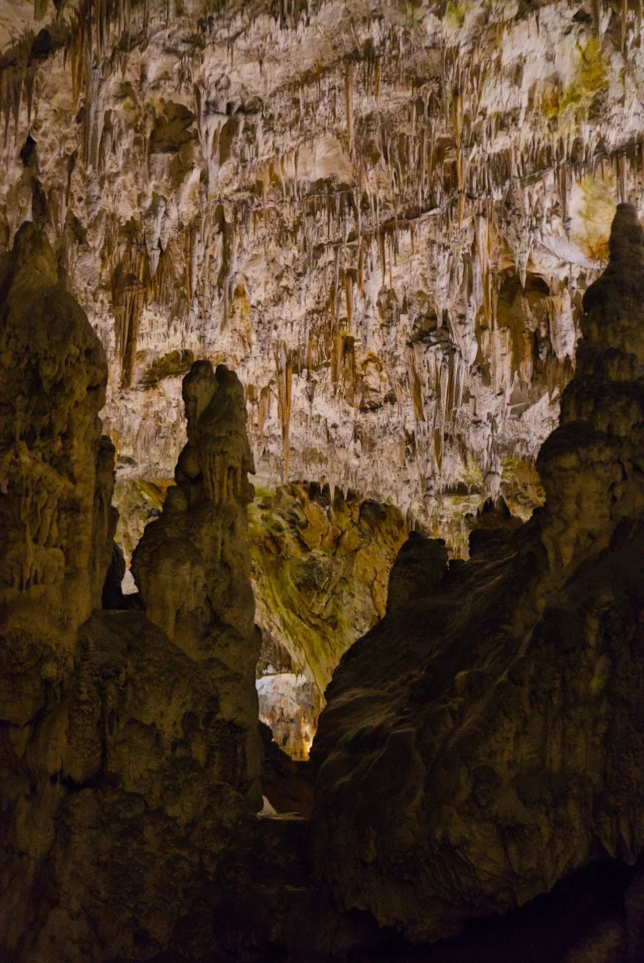 Formaciones de estalactitas dentro de las Cuevas de Postojna, Eslovenia, mostrando la belleza del inframundo.