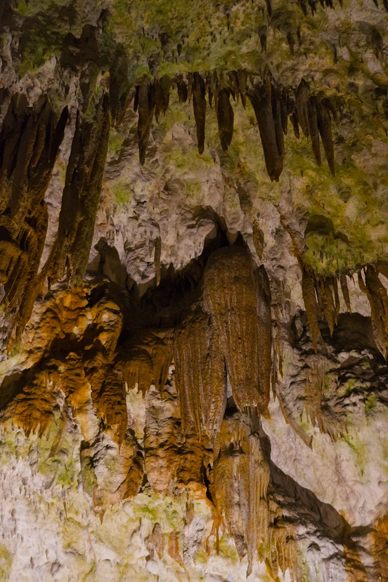 Estalactitas y estalagmitas en la Cueva de Postojna, mostrando un fantástico espectáculo del mundo subterráneo.