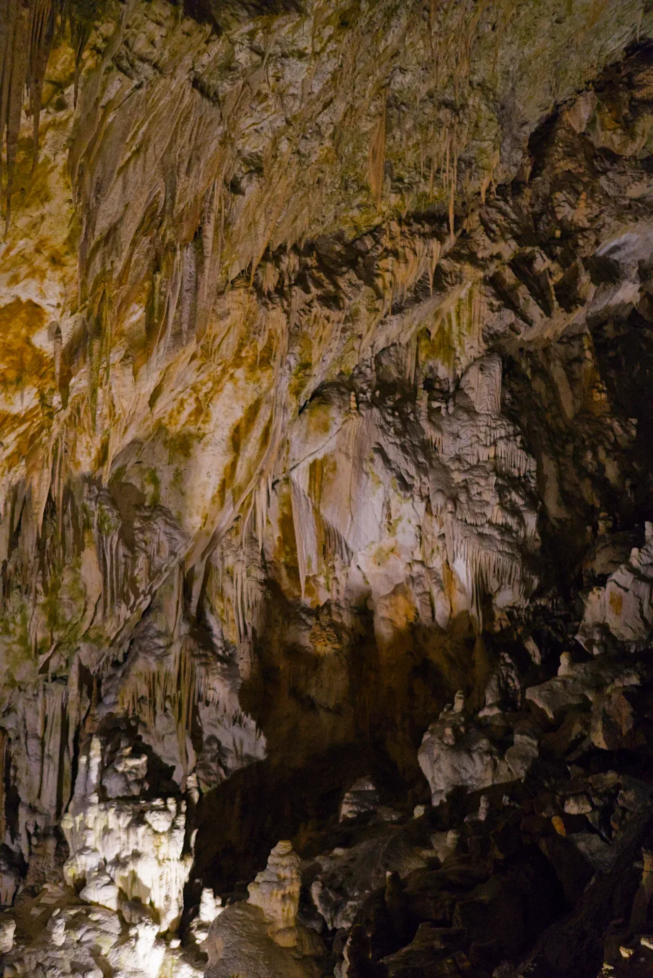 Cueva de Postojna en Eslovenia, un mundo subterráneo mágico con estalactitas y estalagmitas.