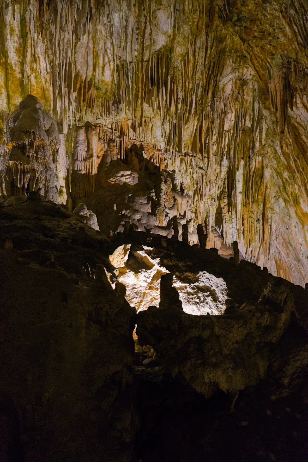 Estalactitas y formaciones intrincadas dentro de la Cueva de Postojna (Postojnska jama), iluminadas para impresiones artísticas.